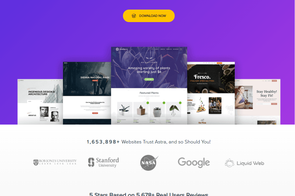Astra WordPress Theme Reviews – A Detailed Report On The Astra WordPress Theme